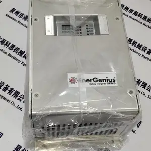 美国 Stored Energy Systems SENS 原装 EnerGenius IQ2 Q1200508L514A 充电设备