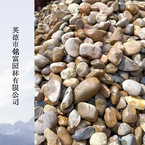 天然水洗鹅卵石 庭院铺路水池造景原石厂家现货