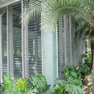 SB������Ҷ|������Ҷ|ͨ͸��Ҷ