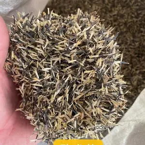 �������ݱ��س����������� ��������� ����������