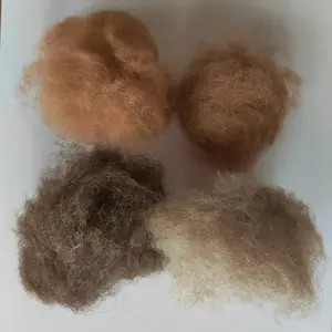 ������������ëԭ�Ϸ�ɴ