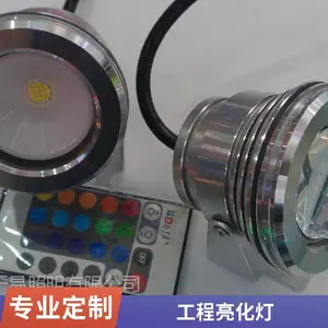 户外投光灯工程亮化投射灯湿地公园照树灯36W/48W射树灯