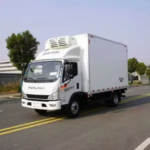 ***M6冷藏车 4米2速冻水饺肉类蔬菜水果保温运输车