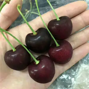 ��ũ ӣ���緱������ �幫�ִ�ӣ�������ϳ��۸�
