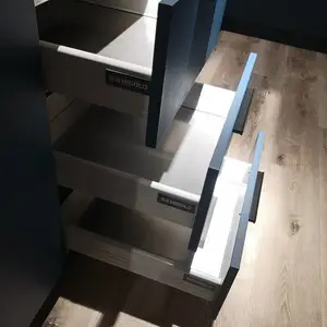 ������Ϊ��ȫ�ݶ��� ��������� ��������
