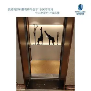 余姚家用电梯 余姚别墅电梯(奥特朗博别墅电梯)