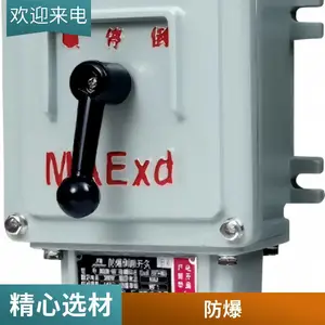 BZM8050-10D双控防爆防腐照明开关 ExdeIIC级三防开关