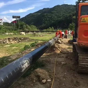 ���ϲ��ƹ��������� �����ִ��������� �ܵ������� ������