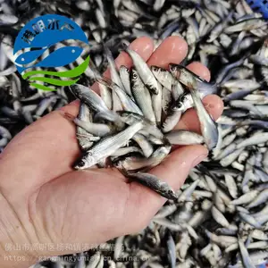 ��Ѩ��������������ˮ��-�������������泡ֱ��-�����û�