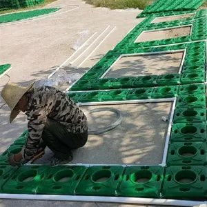 承接各种沉水植物浮岛 河道绿化水质净化 生态修复水生态治理 生态浮岛景观绿化工程 欢迎来电