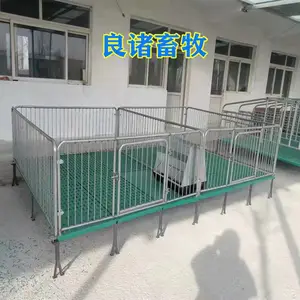 养猪设备 母猪产床 定位栏 保育床 刮粪机 全自动料塔料线