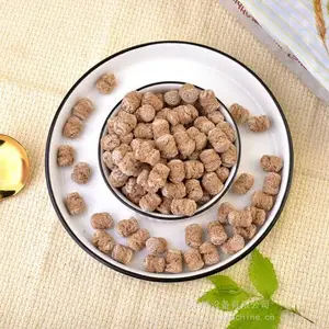 膨化低脂可可蜜球生产线 可可球早餐谷物球加工机器