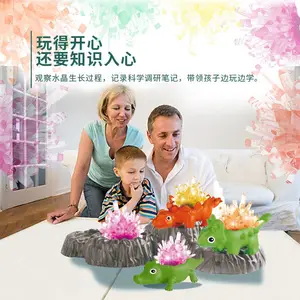 ѧ��������ˮ����ֲ����ʵ��Nֲ٪�޼��ֹ�diy����Ȥζ�������