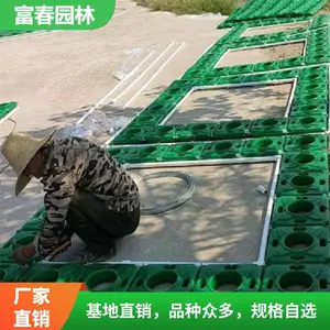 ���� �˹������нӰ�װʩ��ˮ��ֲ����ֲ�������� ˮ���̻� ����