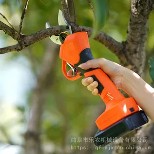 ������԰��֦�޼��� ƻ�����������֦���� ԰����֦����