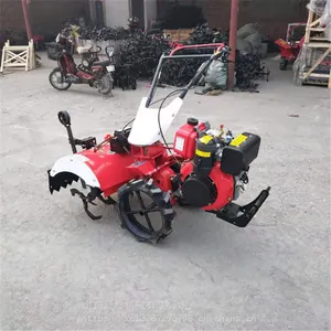 �³�����԰�������ݻ� ����ʽ��������΢���� ��԰������¢ʩ�ʻ�����