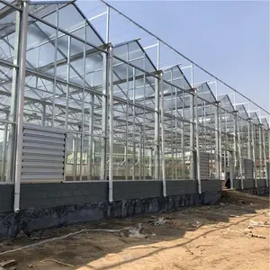 ���ϲ������Ҵ���Ǽ� ������̬�������Ҵ��ﲣ�����Ҷ���Ǯ ̩���������Ҵ������