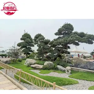 山东济南泰山石原石,济南泰山石园林工程景观石