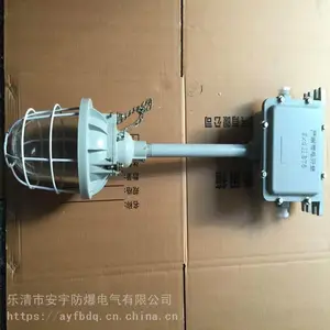 ***FAD-L-L100防水防尘防腐灯金卤灯100W吸顶式,护栏式