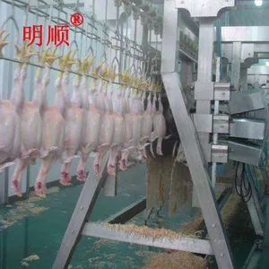小型蛋鸡屠宰流水线 蛋鸡屠宰线工艺 明顺机械国内优质屠宰机械制造商
