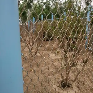��̩ �������������ֿ�����׹����������