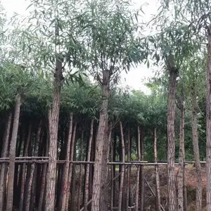 ��������������-�����д���������-ˮ����������۸�� -ˮ�����繩Ӧ��