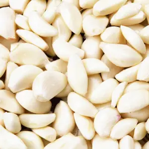 �����ӯRY-139�����ô��⿪���