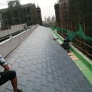 ��������߸����� ����������������ʩ��һ�� �ɶ��� ����