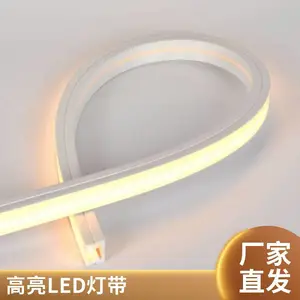LED霓虹灯带批发 360度彩虹户外防水柔性软rgb灯条 硅胶高亮灯带