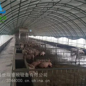 养鸡场建设 鸡棚搭建 养鸡大棚安装