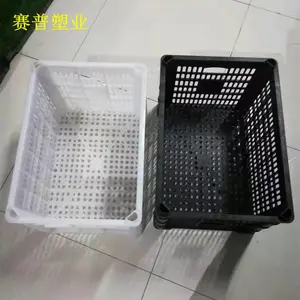 ����������ת�𶹸ɿ���ȿ��¿�����