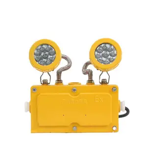 ��Զ����LED������Ӧ��������BXW6229˫ͷ������־��BAJ52����������