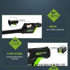 ������80V﮵紵��� ����ʽ﮵�ؿɳ��ķ��԰�ִ���Ҷ��ѩ��