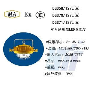 DGS58/127L(A)矿用隔爆型LED巷道灯