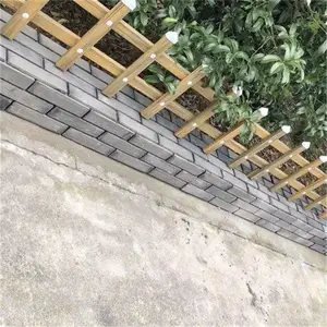 С����ƺ���� �ֲܸ�ƺ���� ������ƺΧ��