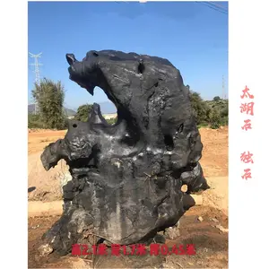 ����̫��ʯ ����̬��������ʯ С����ͥԺ����ʯ ��ʽ԰�־�ʯ