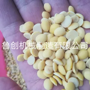 �����ϡ�����Ƥ�����̳���ɳ����ȥƤ�� ʱ��1�ֻƶ���Ƥ�豸