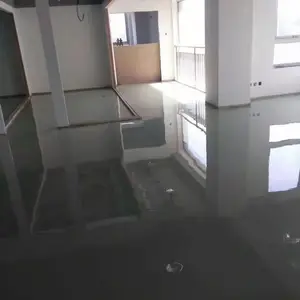 ��������ƽʩ�� ���� ���ǻ�����ƺ��ˮī�����������ƽ