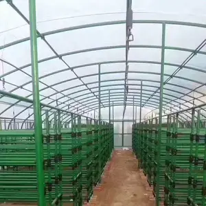 ����������п����ܳ��� ���￨�ɿ��۽�ͷ�������� ��������Ĥ����