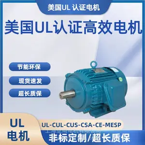 NEMA电机美标英制NEMA-449TSC-250HP-2尺寸UL认证/460V/480V美国电压电机