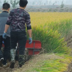 ���������ޣ��ɹ�� �ַ�����ʽ���͸�ݻ�