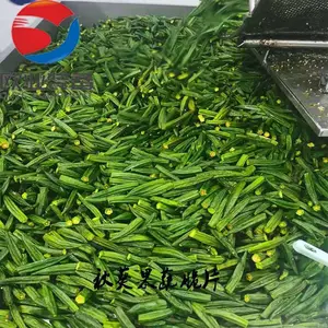 �㶫���������ը�� ����������ը�豸 ɽҩ��Ƭ�����ը����