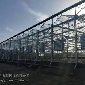 �������ҽ������� �������Ҵ������ ��������