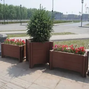 ��������ľ���� С����ֲ��ľ���۲ɹ� �ֵ�������ֲ���ϻ���