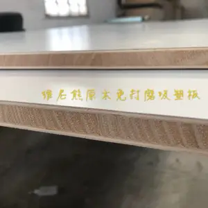 供应全国维尼熊 E0生态板 全桉木芯