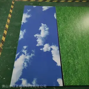 3D彩绘铝单板吊顶_UV打印铝单板背景墙图案定制