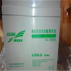 �ƻ�����6-GFM-24/12V24AH�Ծɻ�������Ǯ