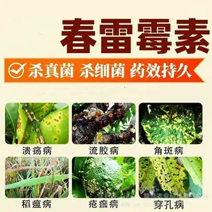 ������2%����ù�����񲡵������ǰ߲�������������ɱ����