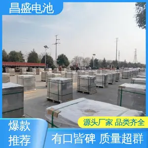 ̫���ܵ�� ��ʽ�������� OPzV2-100 ���ܷ��� ��ʢ