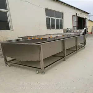 香椿芽清洗机 蔬菜清洗机厂家